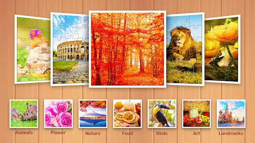 Jigsaw Puzzle Explorer screenshot 7