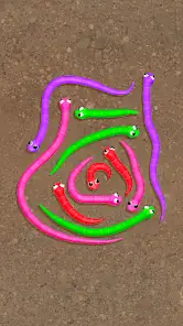 (Snake Knot) Snake Knot: Logic Puzzle screenshot 2